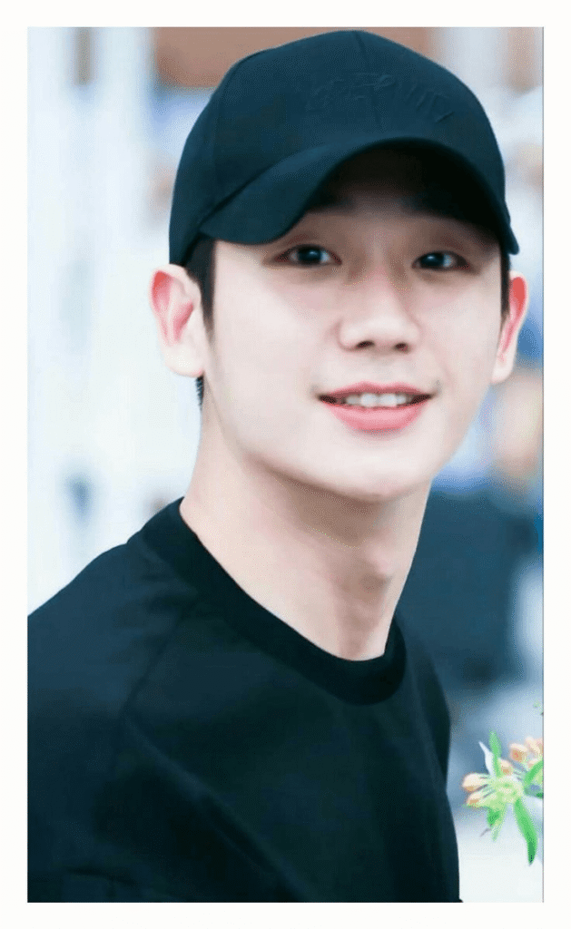 Jung Hae-in: The Reigning King of Romance